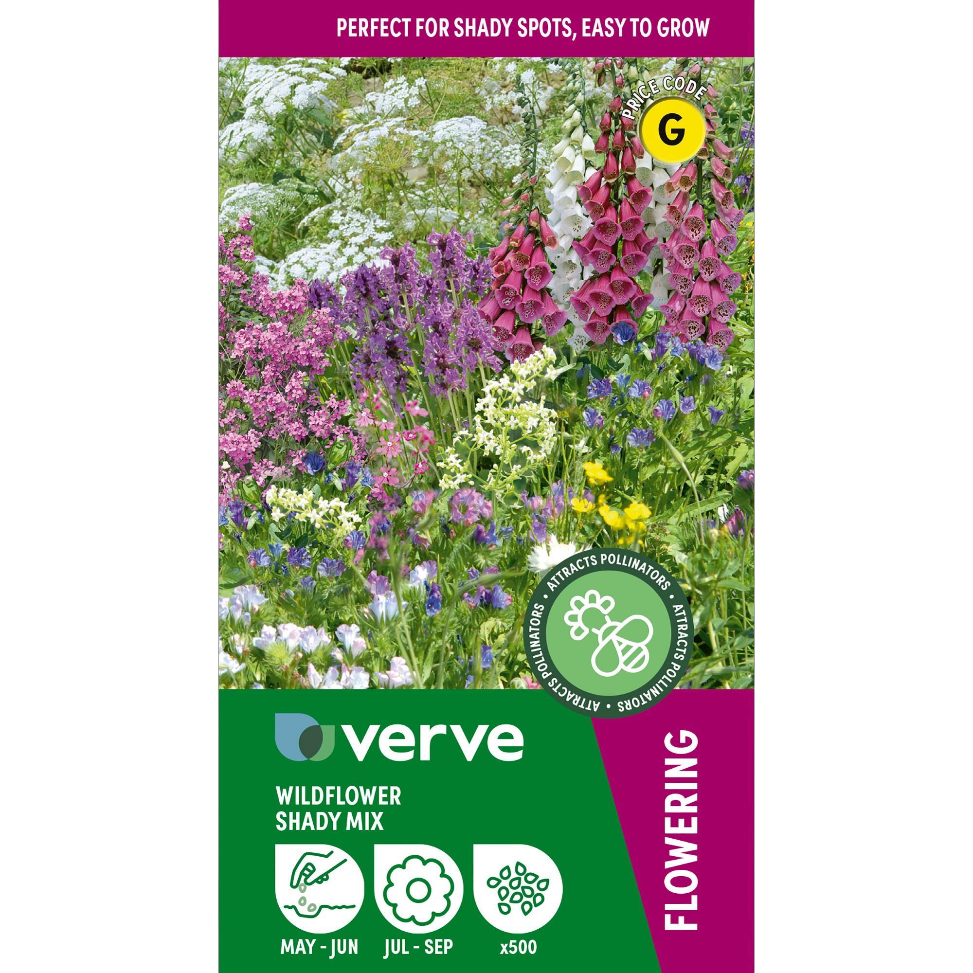 Verve Shady Mix Wildflower Seeds