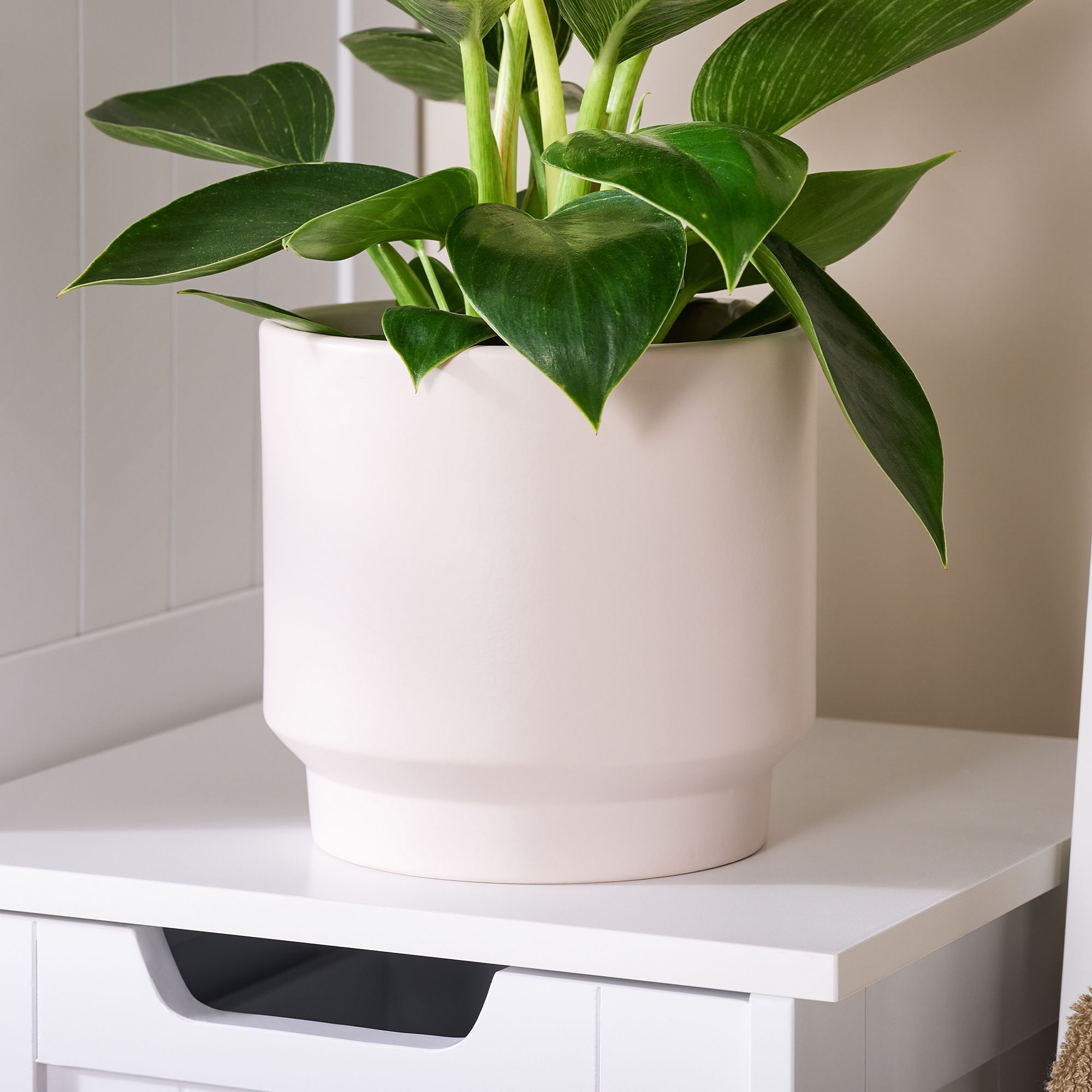 Verve Sheer bliss Cream Clay Plant pot (Dia) 14cm, (H)14cm