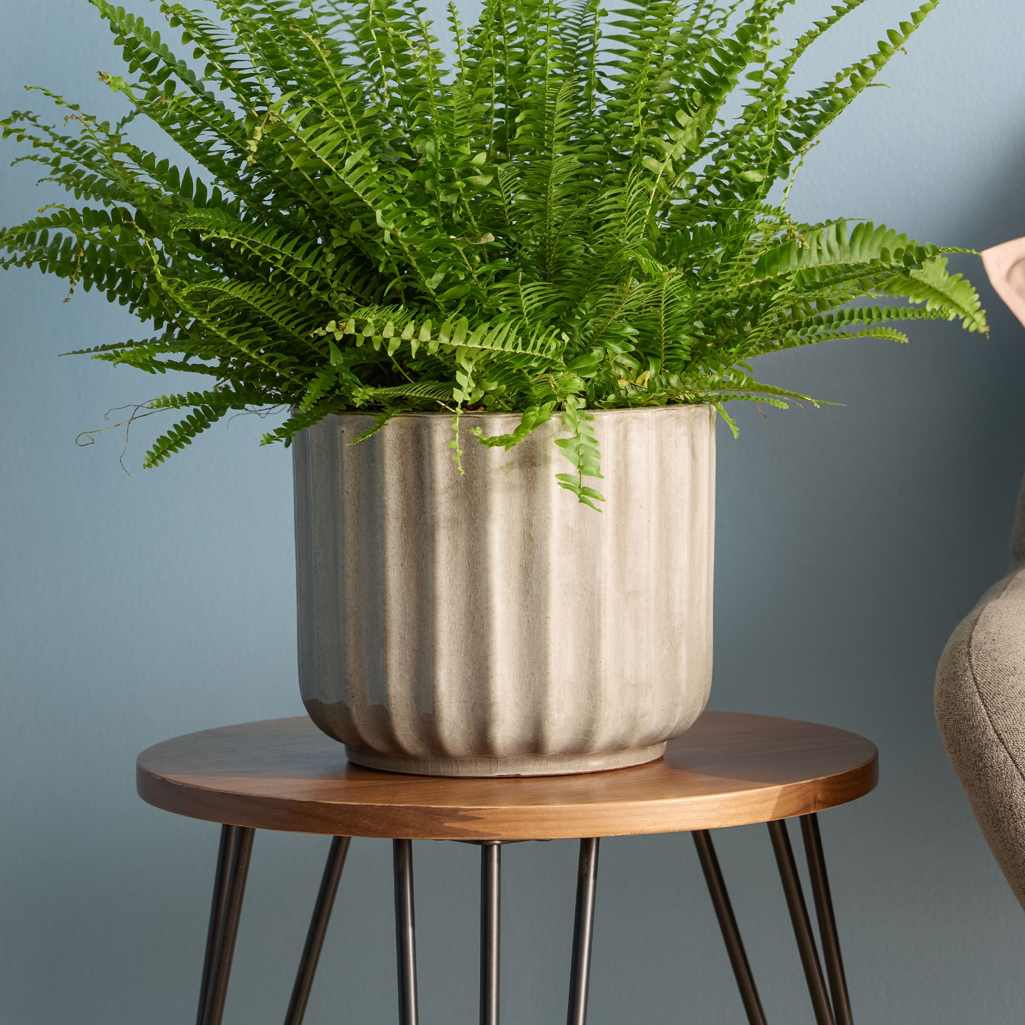 Verve Silver Grey Ceramic Glazed Plant pot (Dia) 20cm, (H)20cm