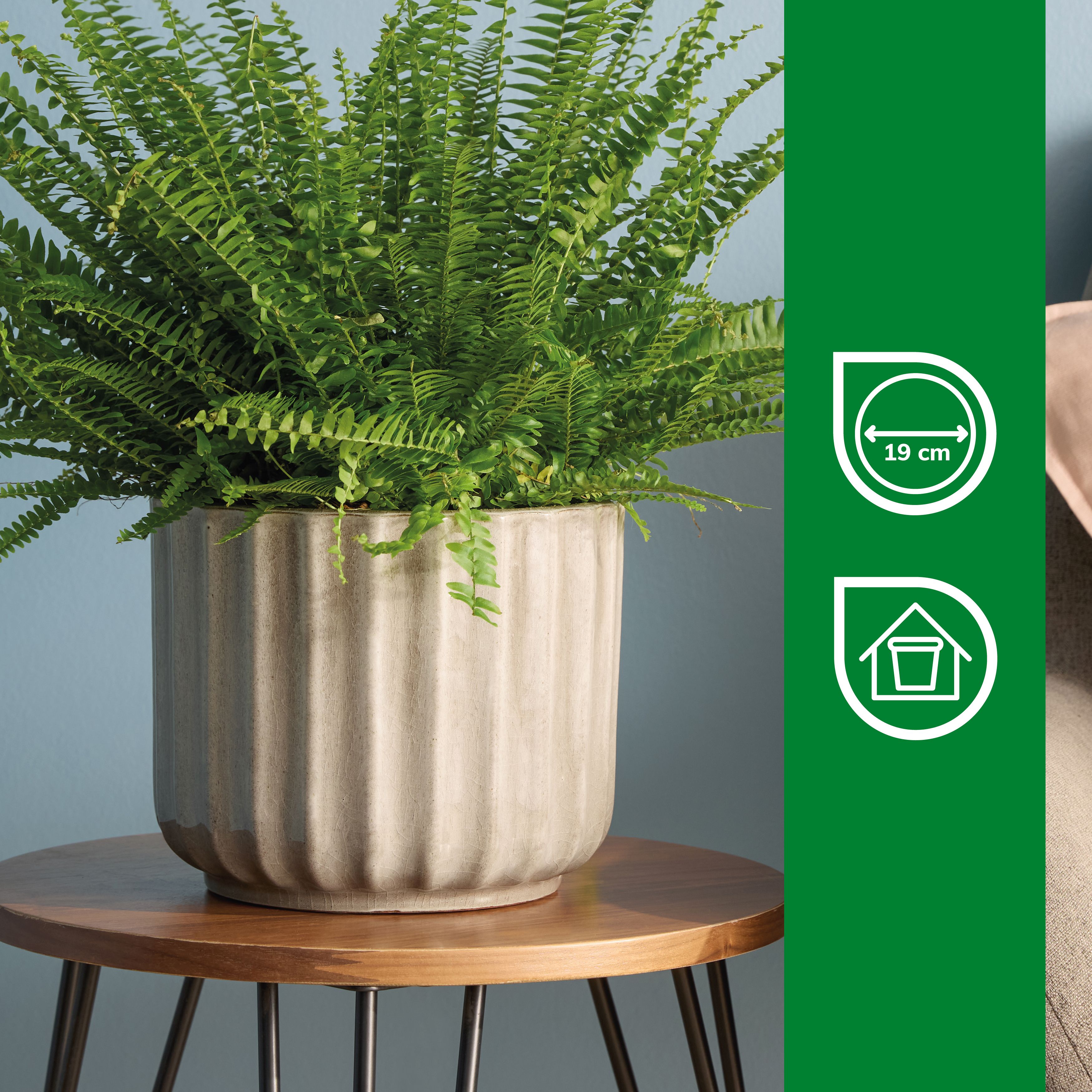 Verve Silver Grey Ceramic Glazed Plant pot (Dia) 20cm, (H)20cm