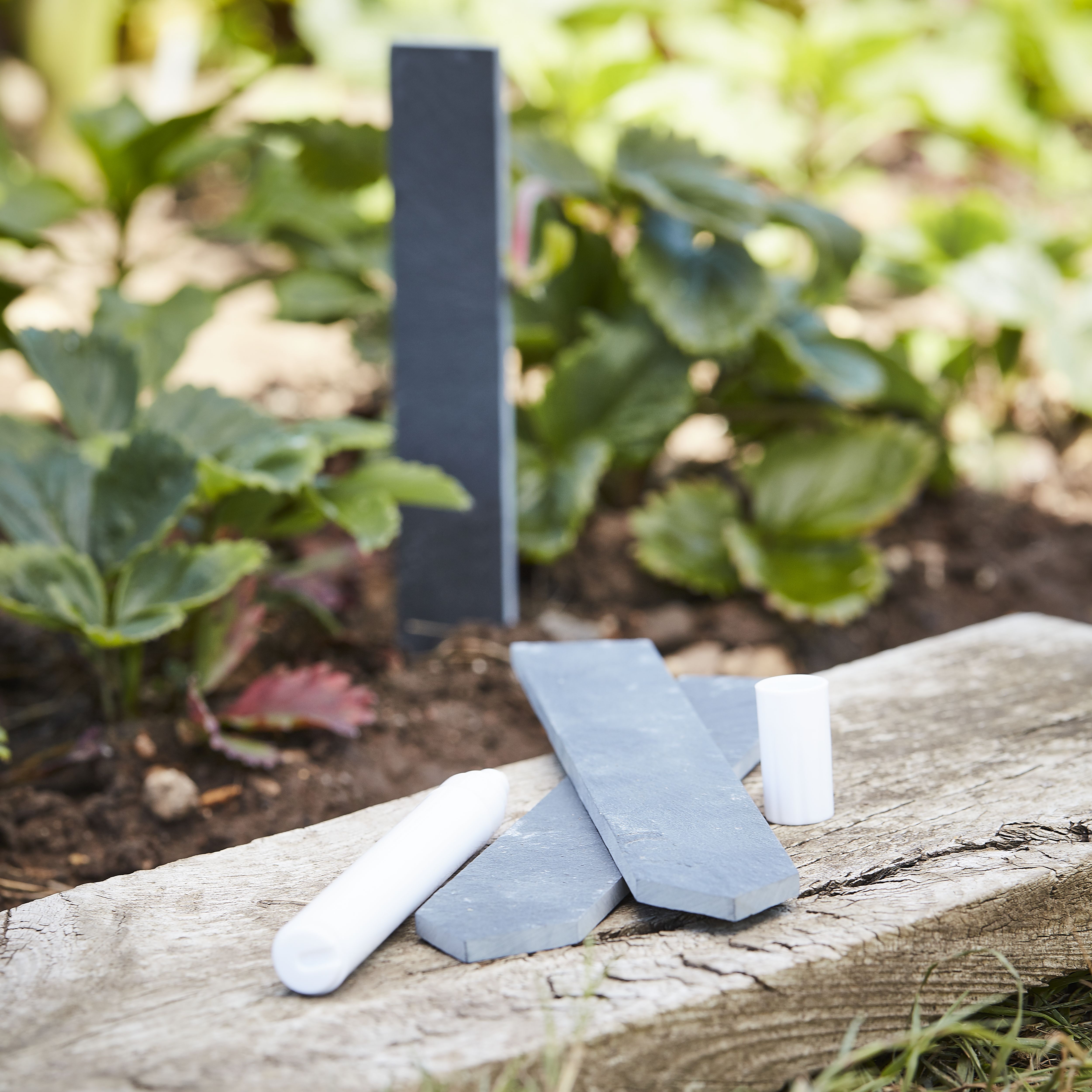 Verve Slate Plant labels, Pack of 5
