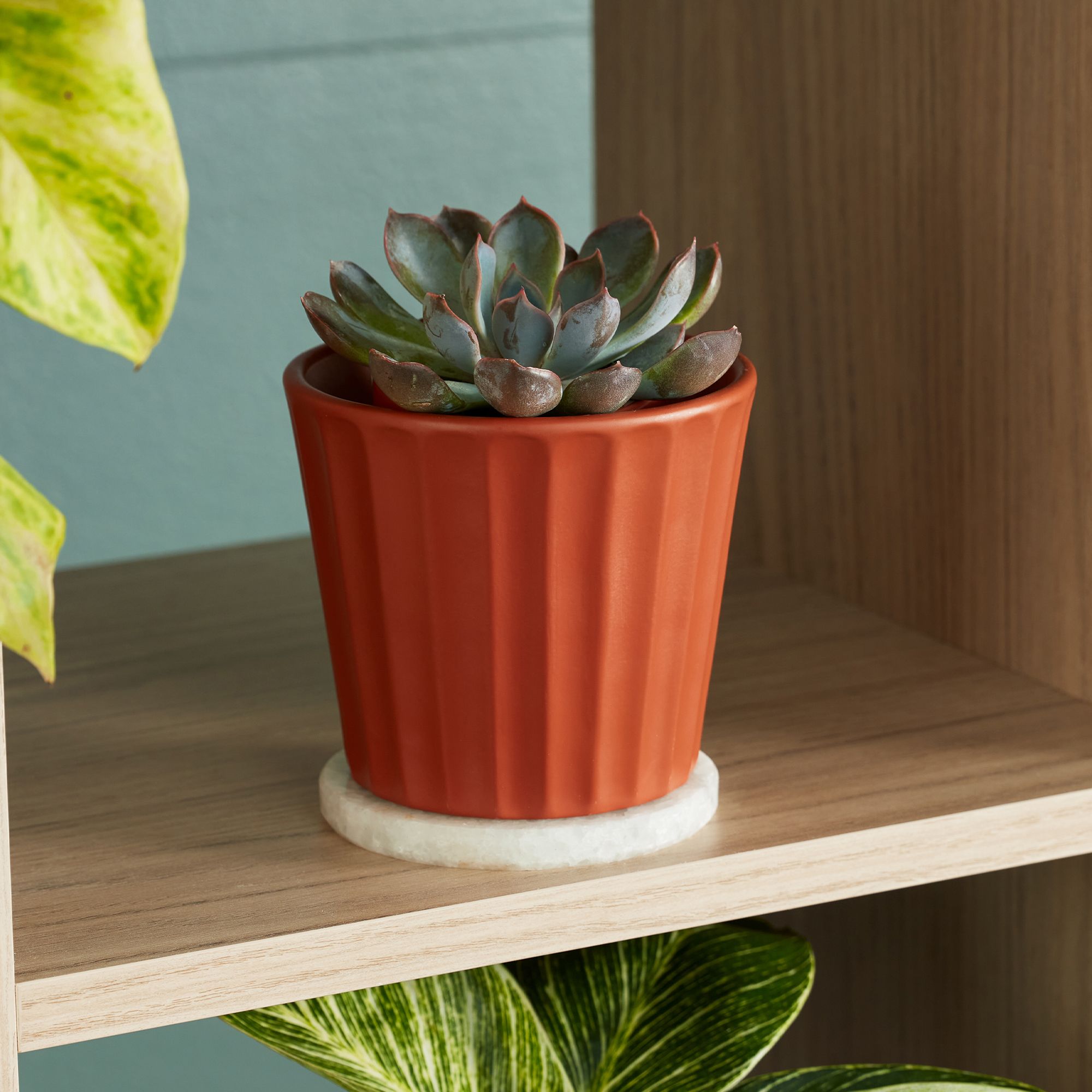 Verve Sunburn Orange Ribbed Clay Plant pot (Dia) 11cm, (H)10cm