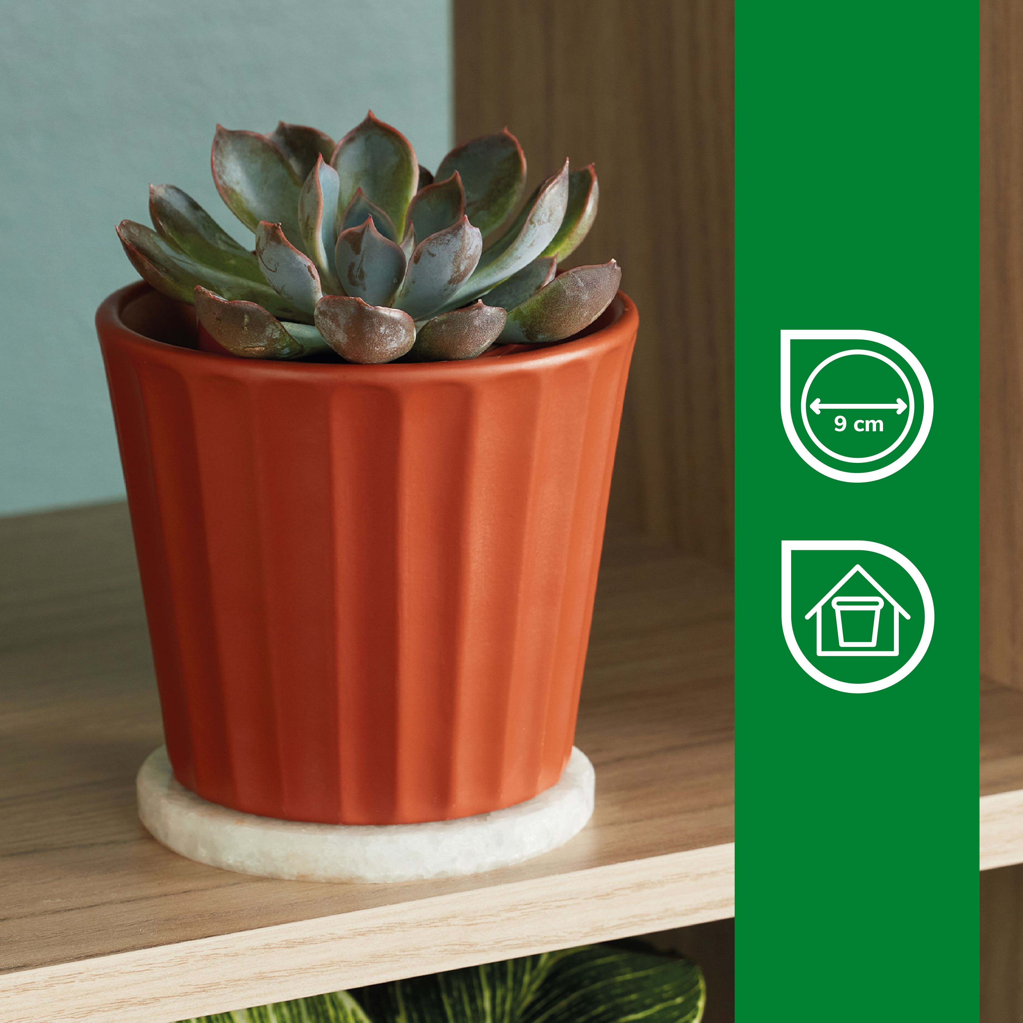 Verve Sunburn Orange Ribbed Clay Plant pot (Dia) 11cm, (H)10cm