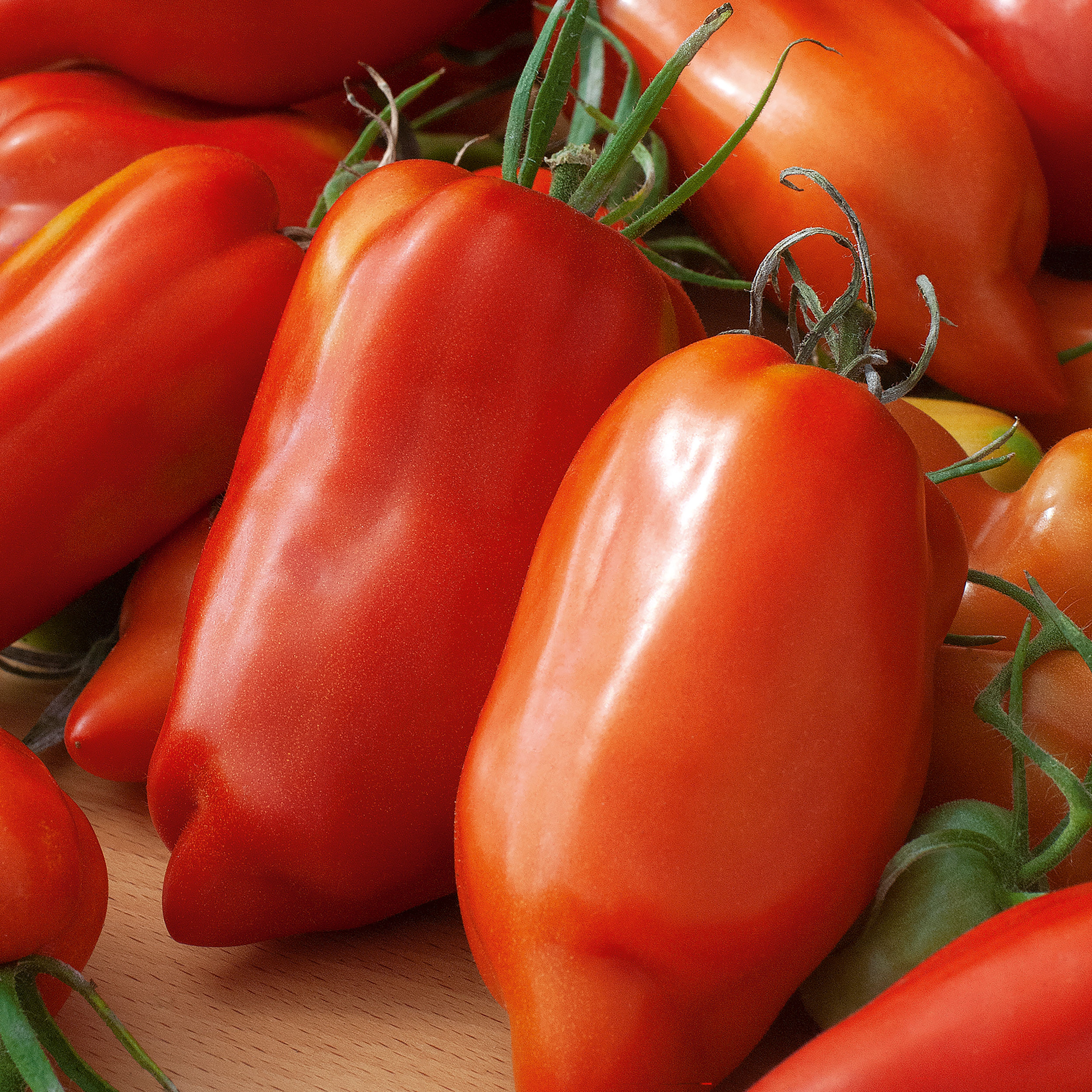 Verve Tomato 'Andenhorn' Vegetable Seeds