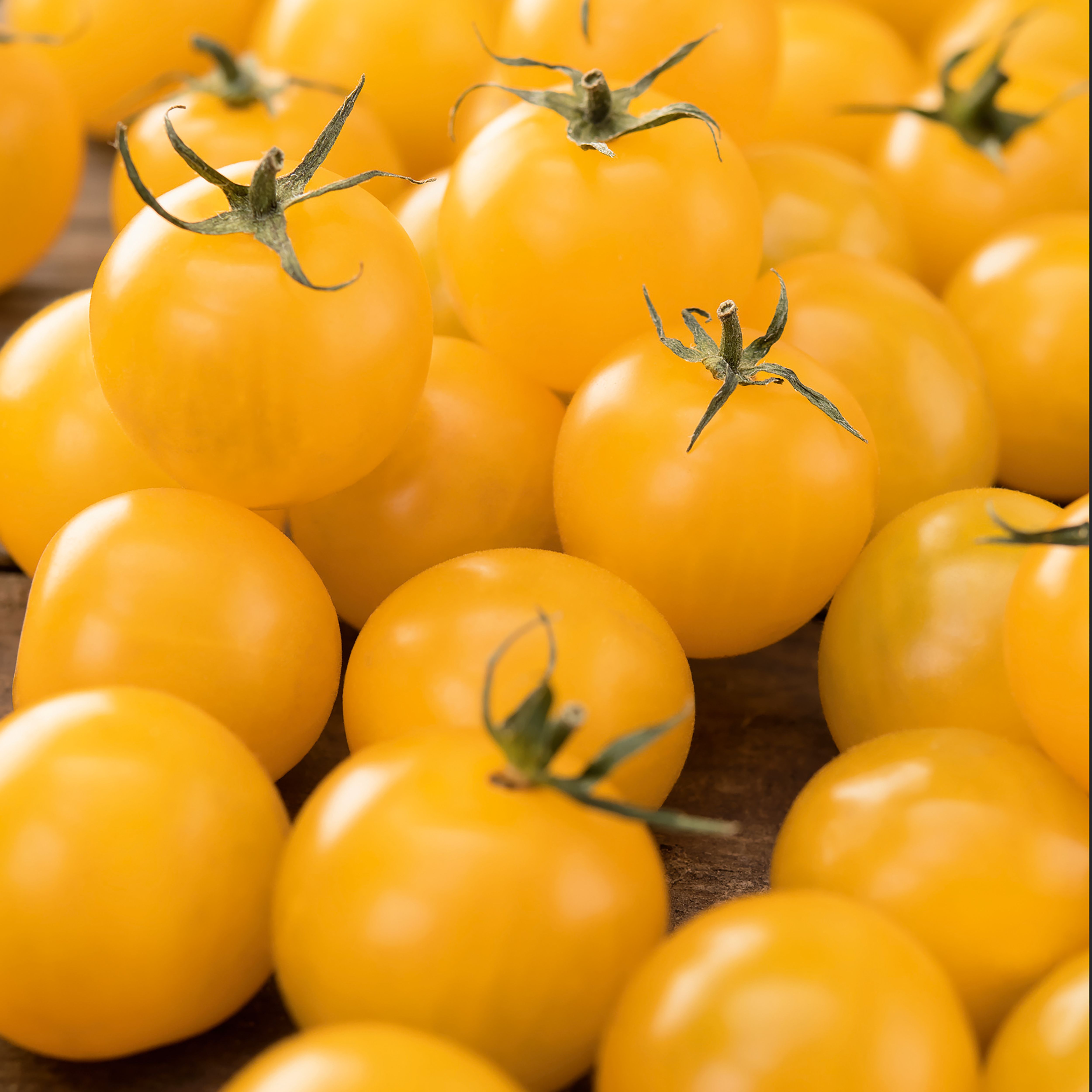 Verve Tomato 'Sun Baby' Vegetable Seeds