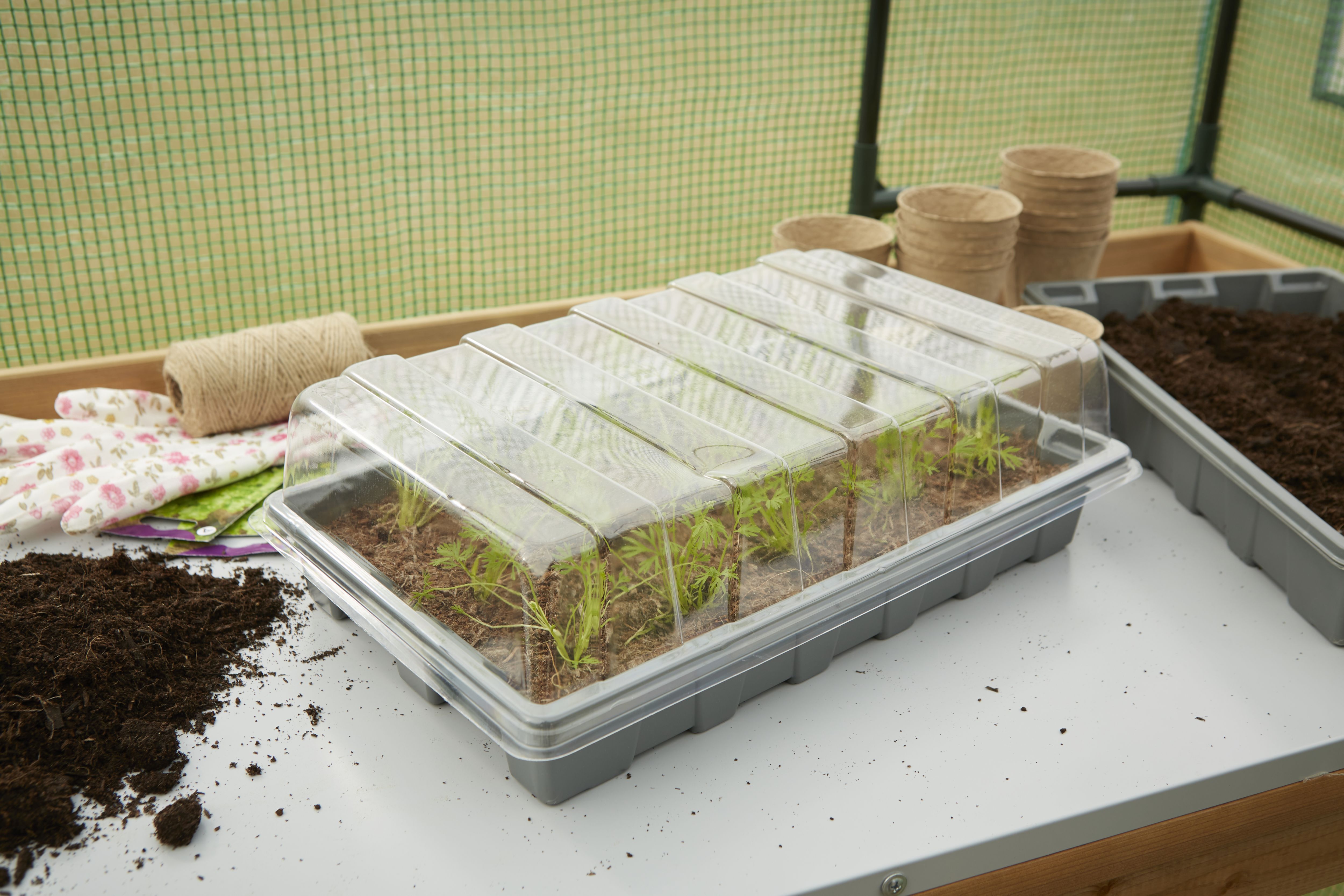 Verve Transparent Rectangular Plastic Gardening tray lid, (H)7cm (W)25cm