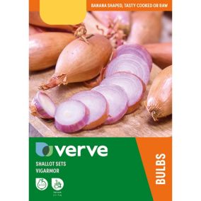 Verve Vegetable bulb