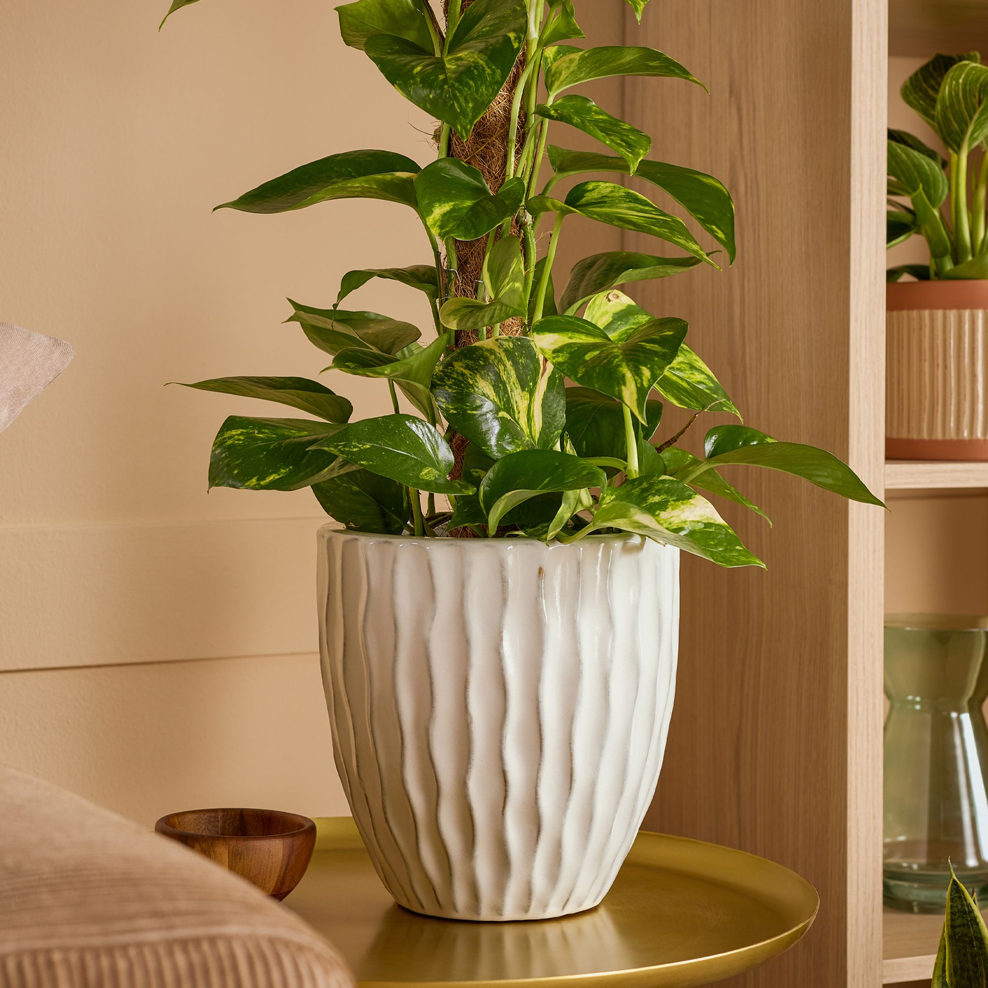Verve White Ceramic Plant pot (Dia) 20cm, (H)17cm