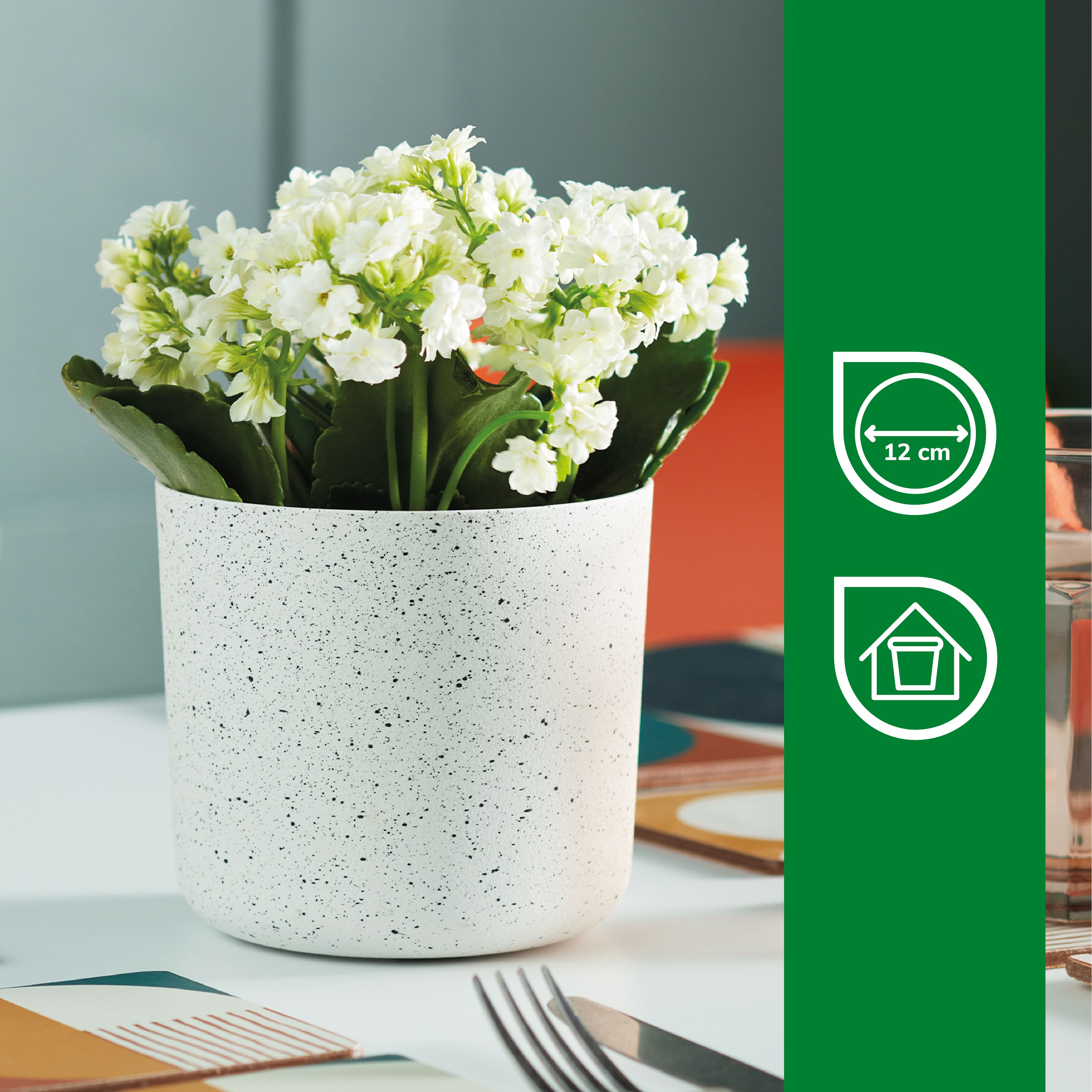 Verve White Recycled plastic Plant pot (Dia) 13cm, (H)12cm
