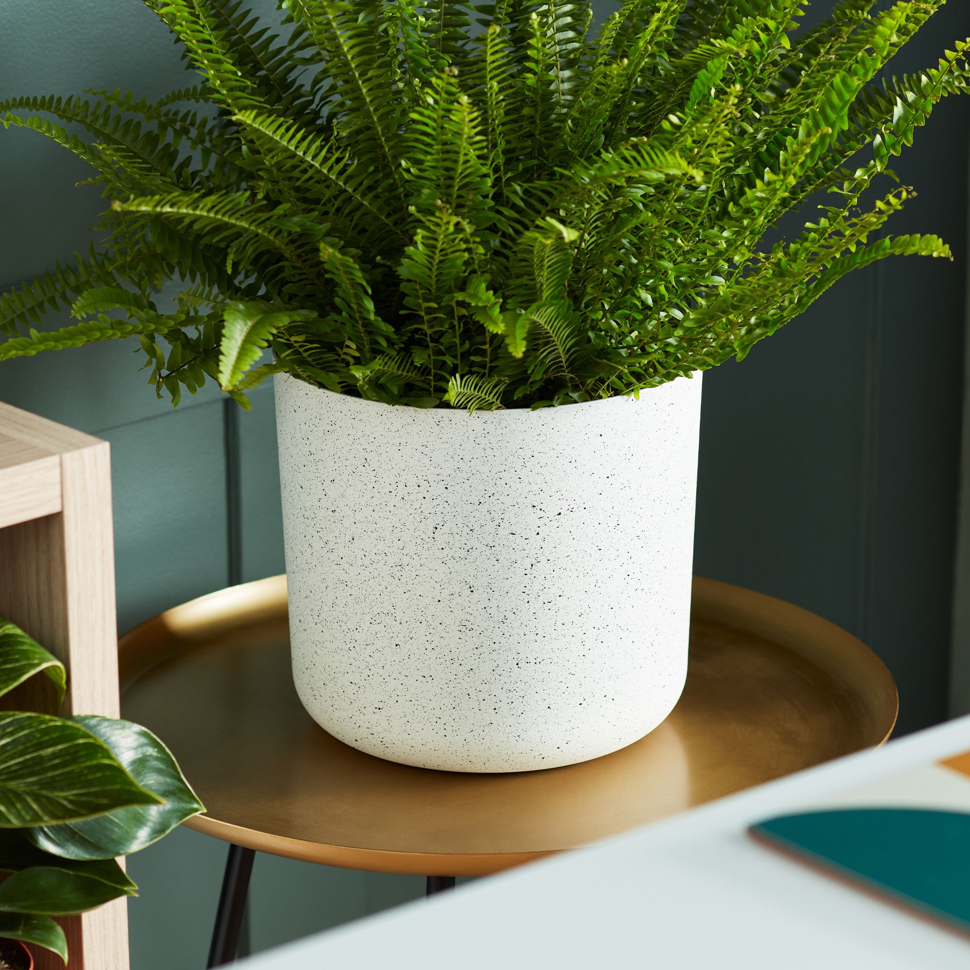Verve White Recycled plastic Plant pot (Dia) 17cm, (H)23cm