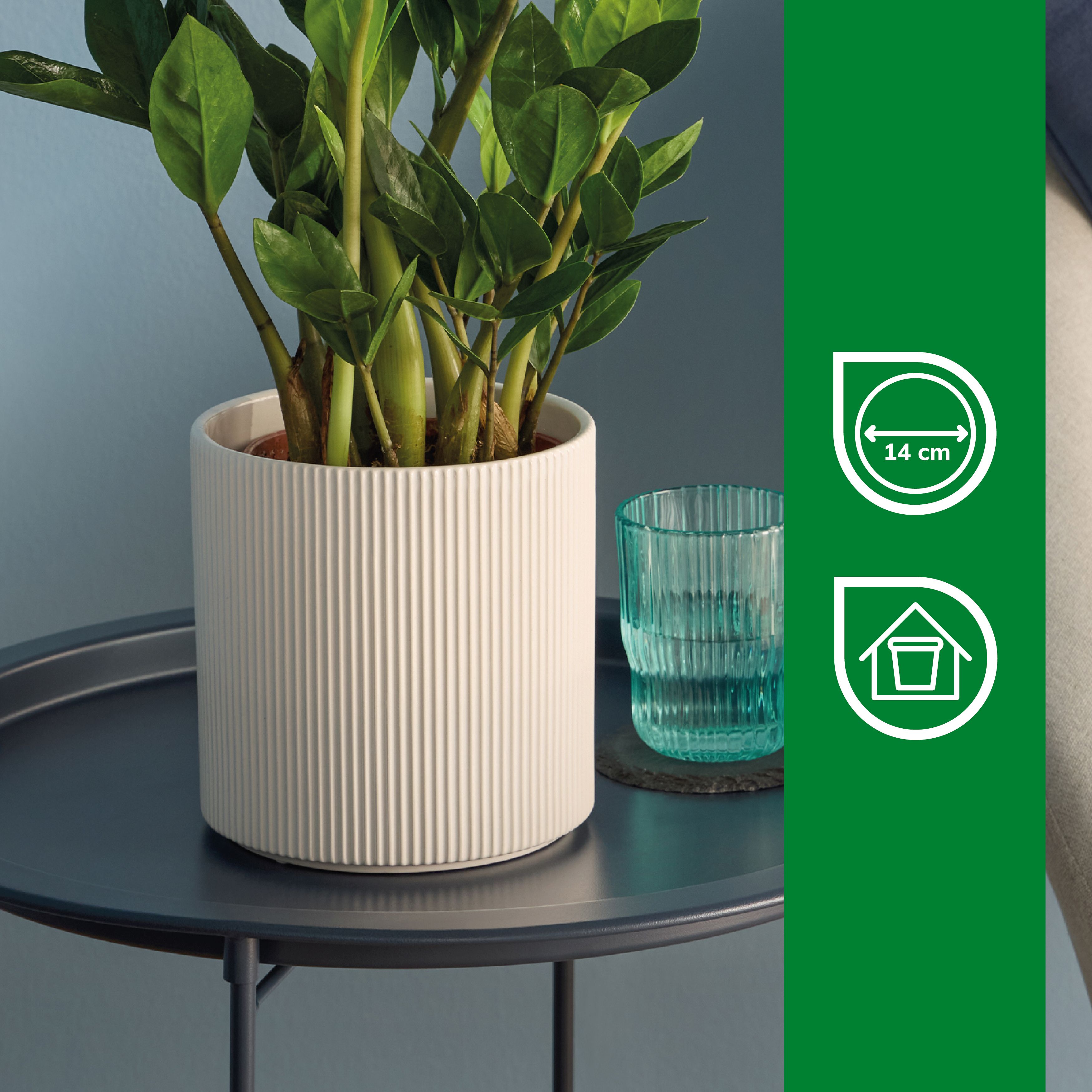 Verve White Ribbed Ceramic Plant pot (Dia) 16cm, (H)16cm