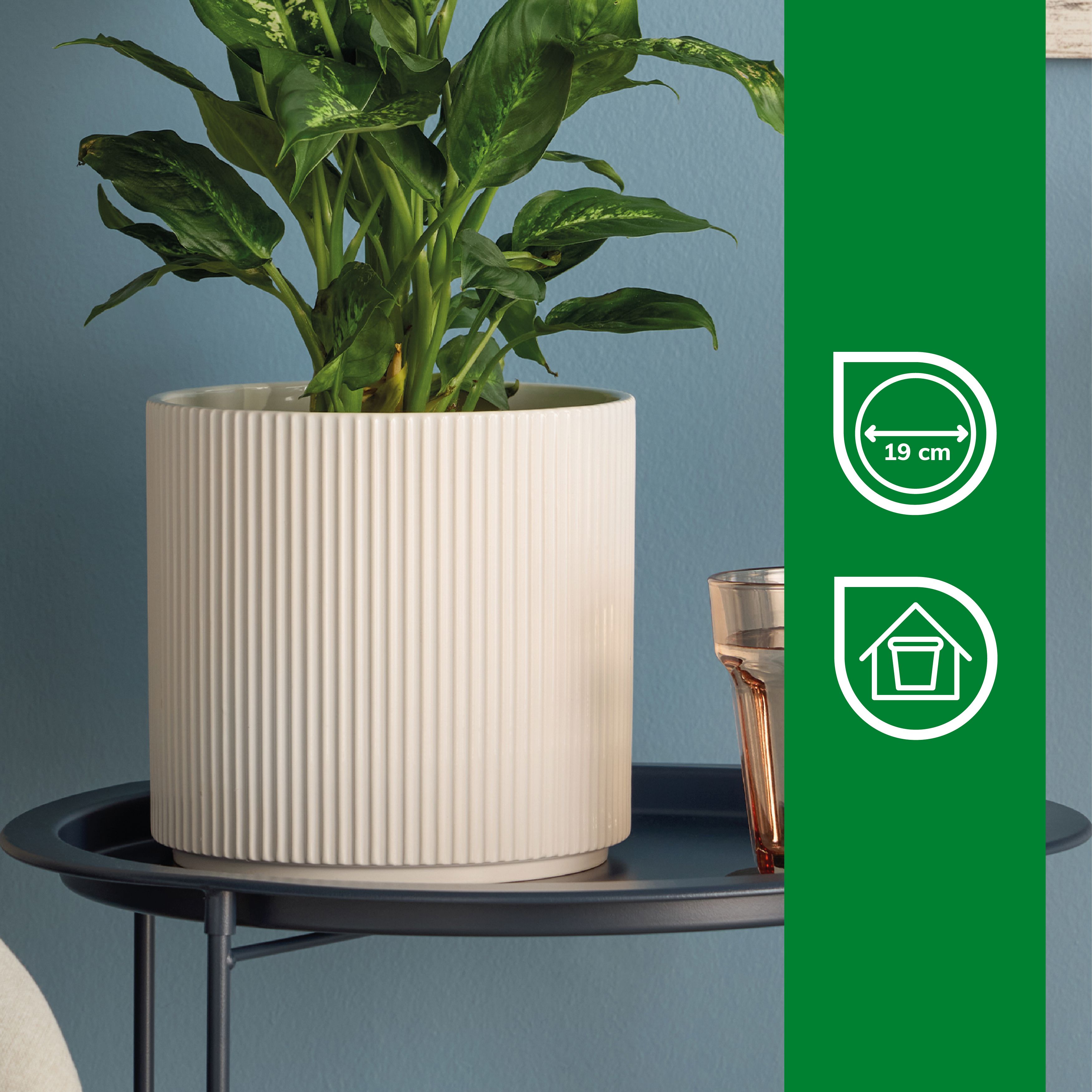 Verve White Ribbed Ceramic Plant pot (Dia) 21cm, (H)19cm