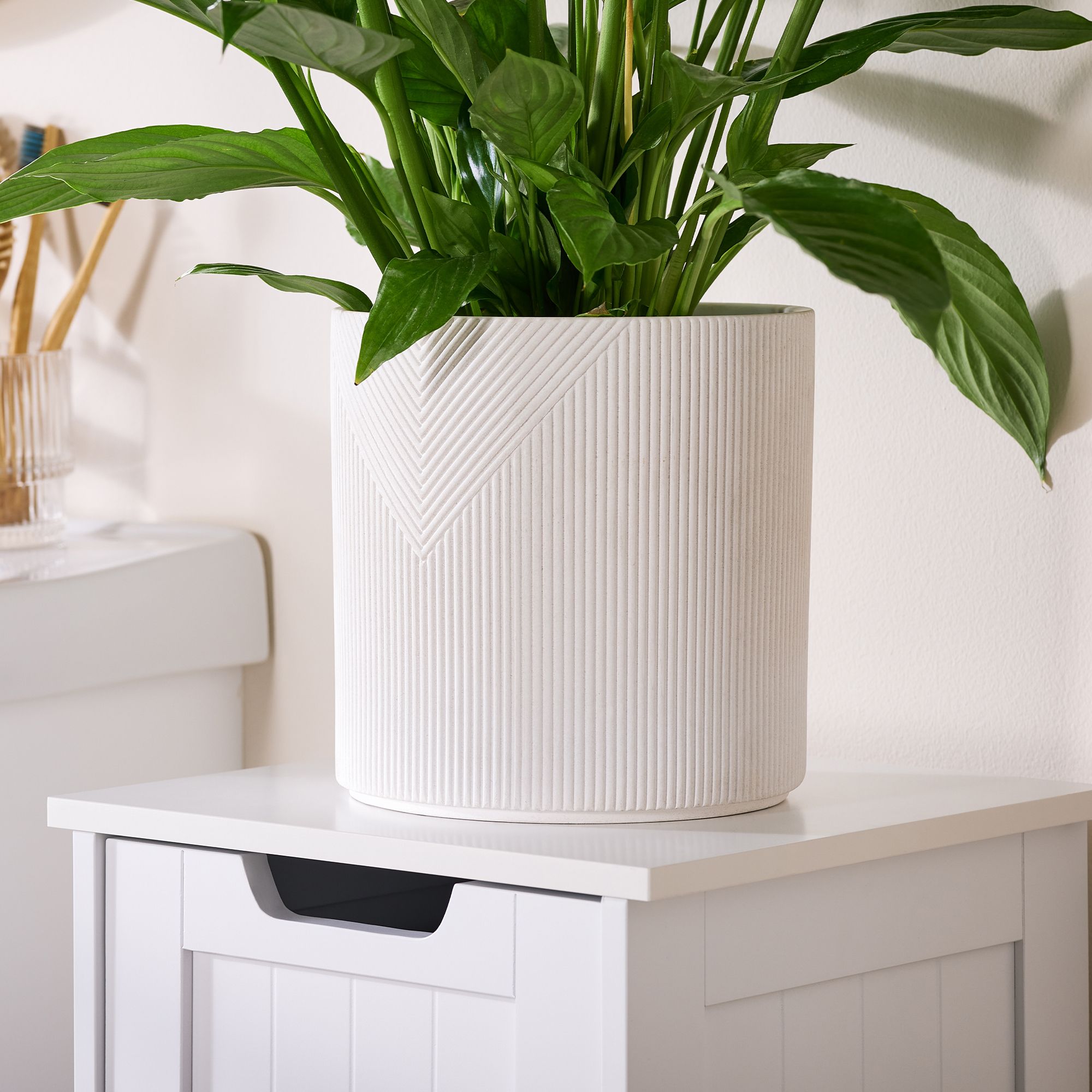 Verve White Terracotta Plant pot (Dia) 19cm, (H)19cm