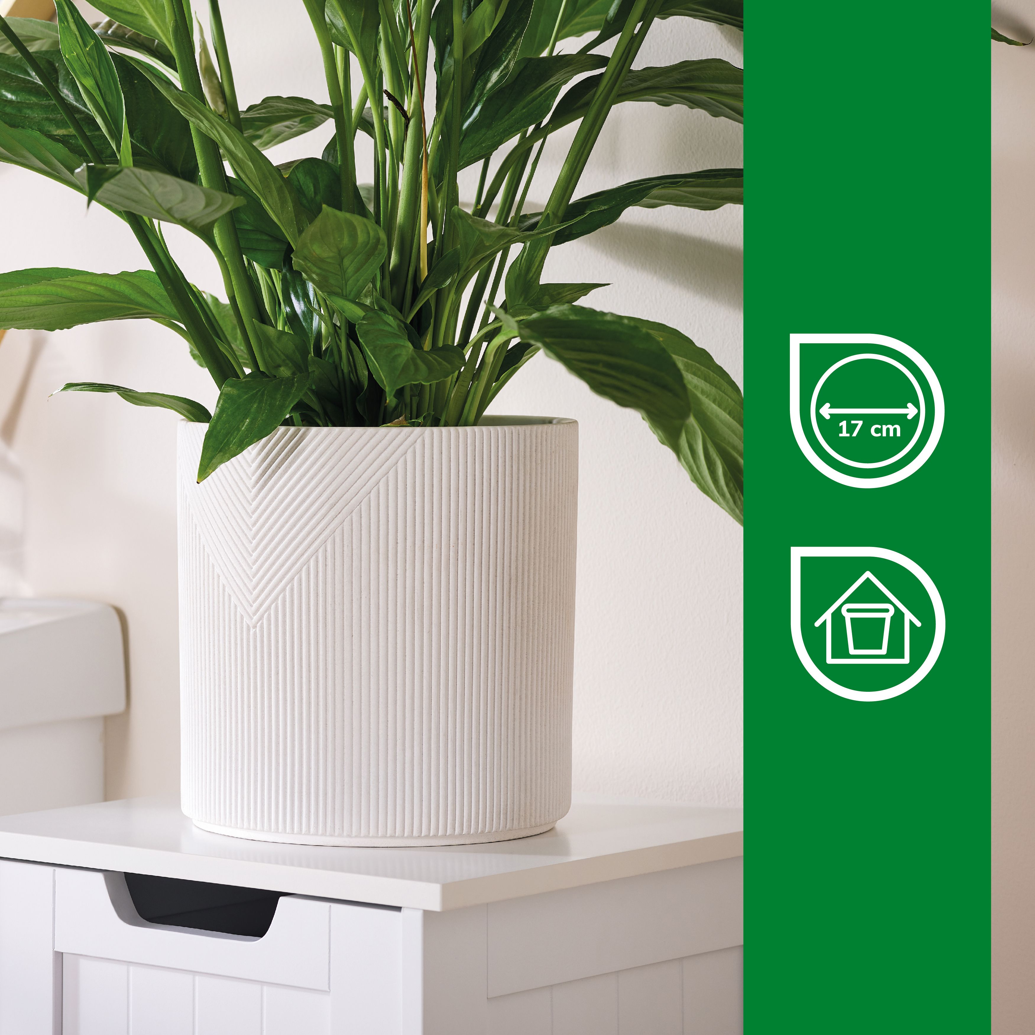 Verve White Terracotta Plant pot (Dia) 19cm, (H)19cm