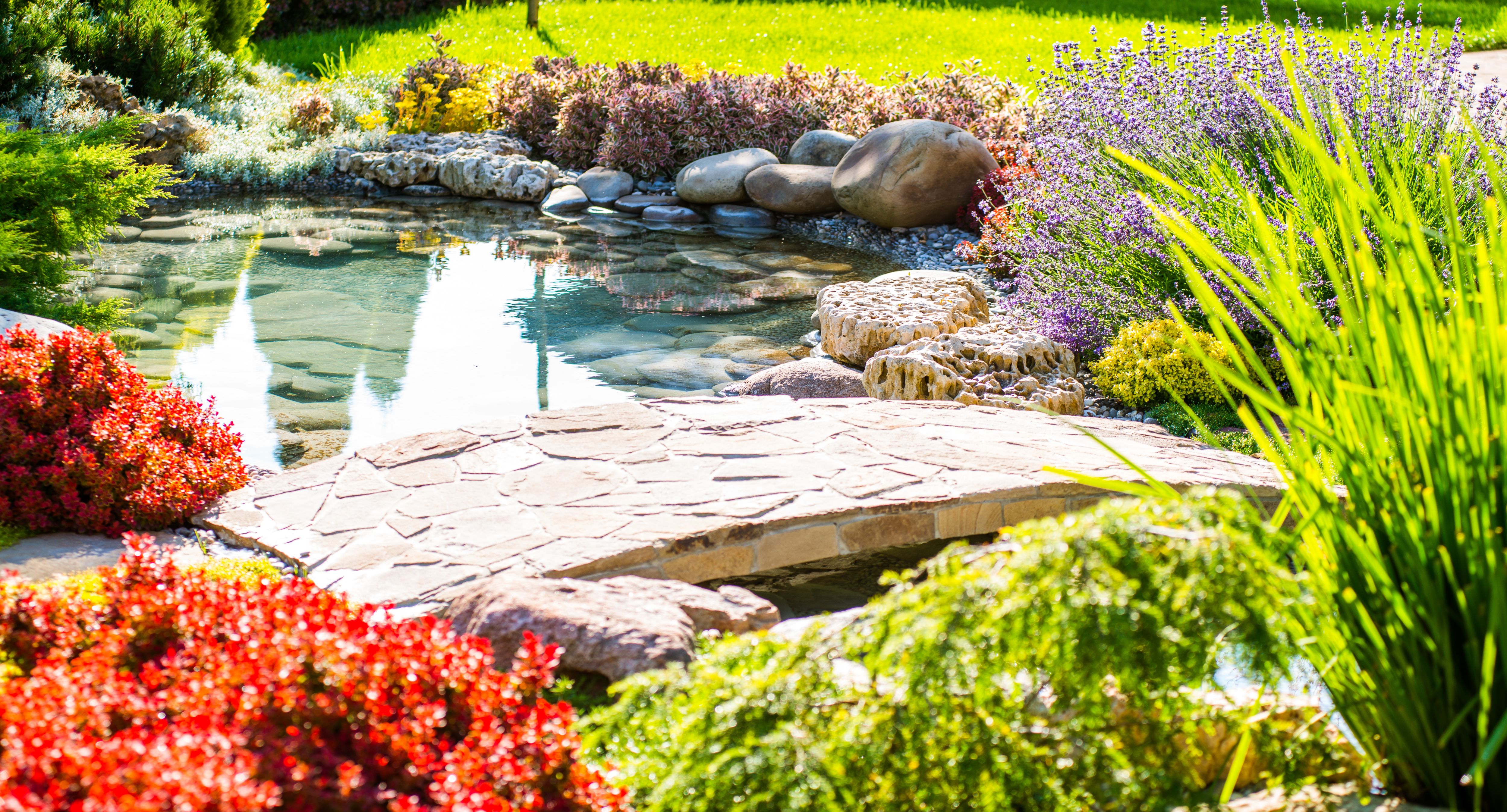 Tropical garden ideas | Help & Ideas | DIY at B&Q Tropical garden ideas | Help & Ideas | DIY at B&Q on Tropical Patio Ideas id=12168