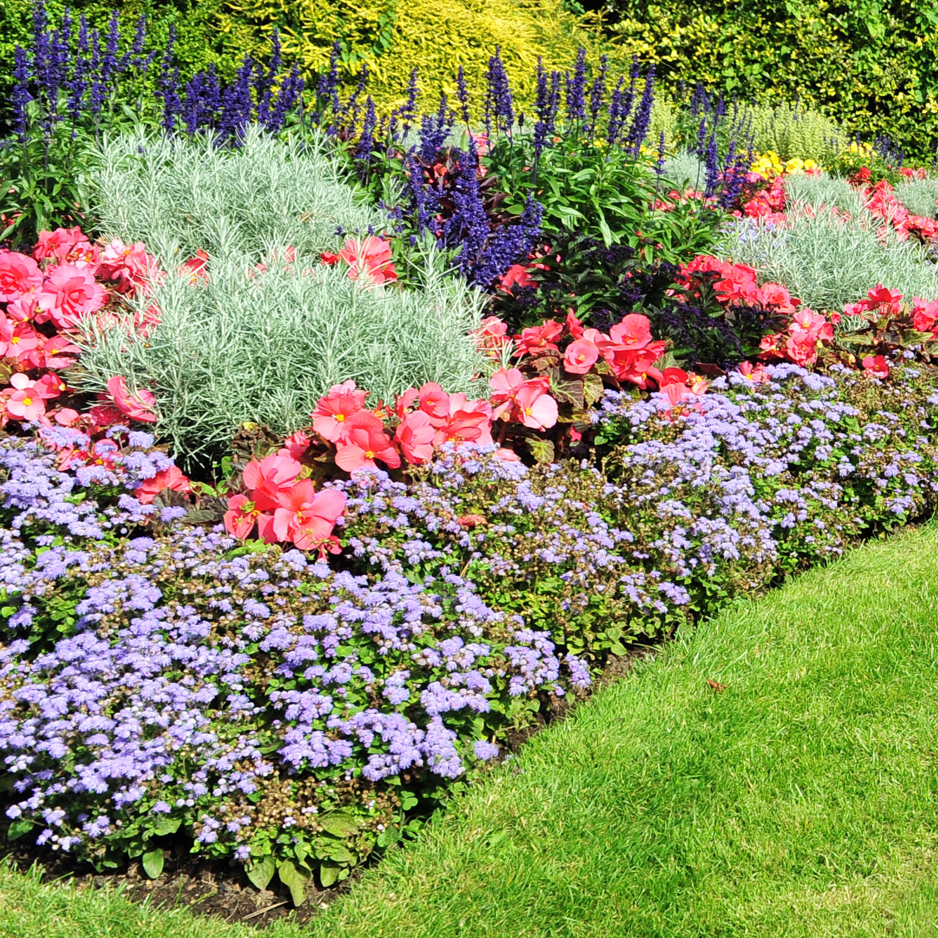 Inspirez Vous Pour Bq Bedding Plants Spot And Stripe
