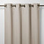 Vestris Serenity Plain Thermal Eyelet Curtain (W)117cm (L)137cm, Single