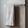 Vetro Brushed Towel rail (W)520mm