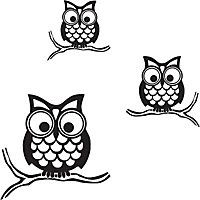 Wallpops Give a hoot Black Self-adhesive Wall sticker (H)740mm (W)740mm