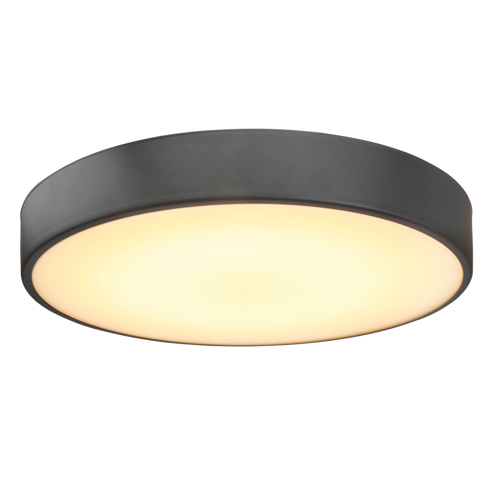 Wapta Matt Black Bathroom Ceiling light