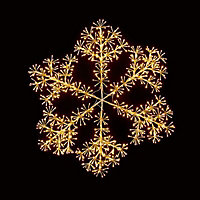 Warm white LED Warm white Snowflake burst Silhouette