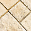 Weathered limestone Circle squaring off paving pack 1.69m²