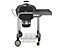 Weber Performer® GBS Black Charcoal Barbecue