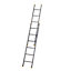 Werner 12 tread Extension Ladder