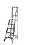 Werner 5 tread Aluminium Ladder (H)2.02m