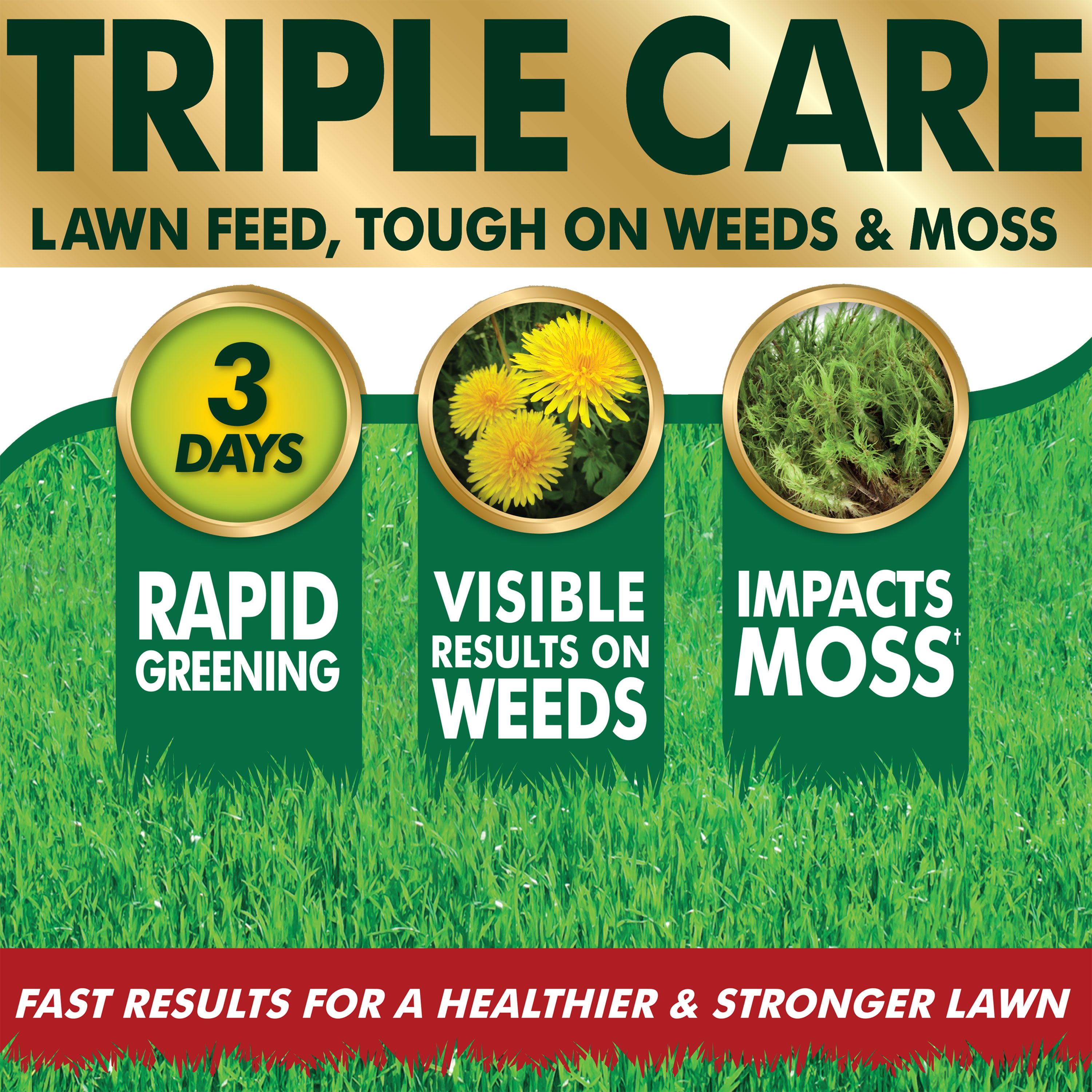 Westland Aftercut Grasses Lawn fertiliser Granules 350m² 11.44kg