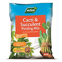 Westland Cacti & succulent Compost 4L