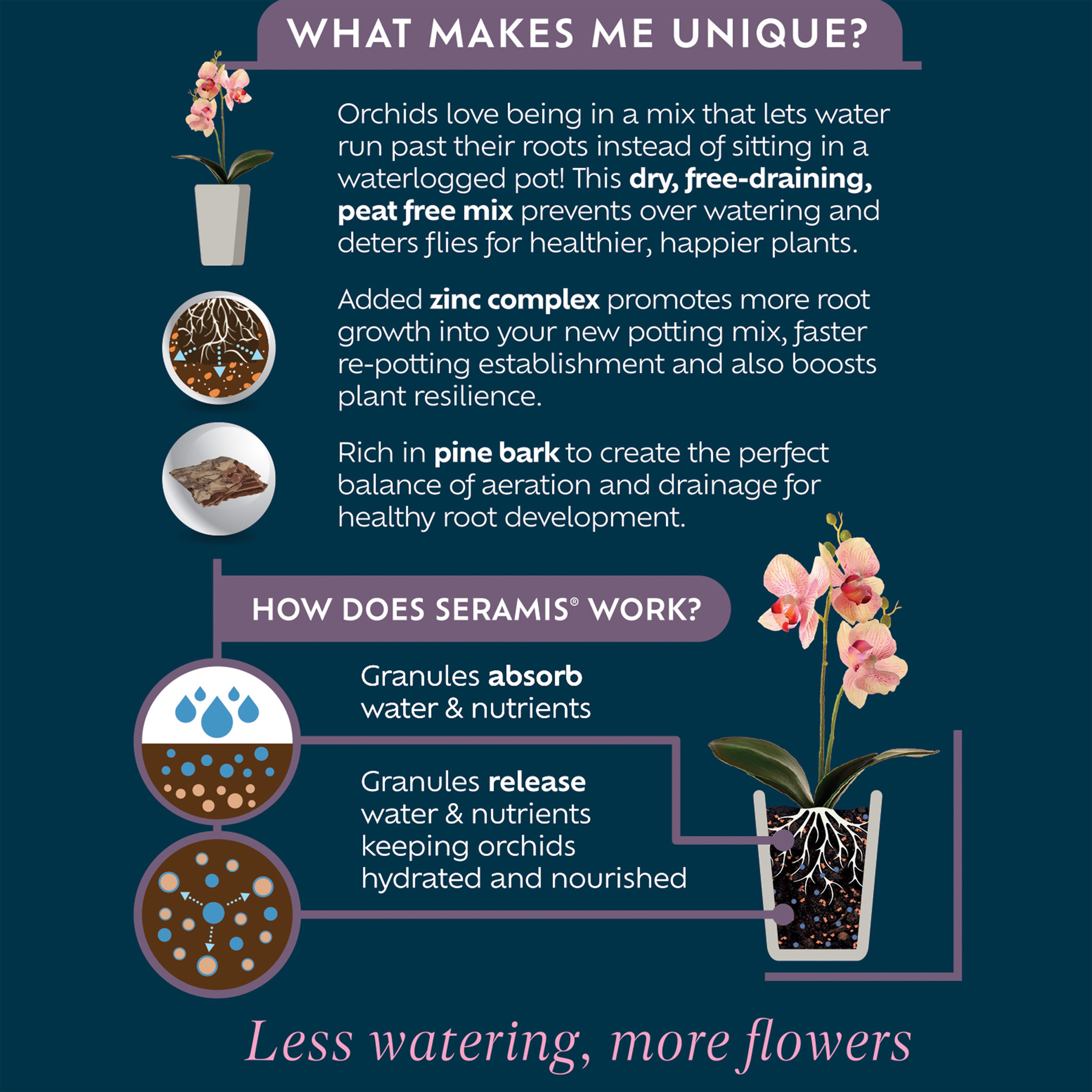 Westland Peat-free Orchid Compost 4L