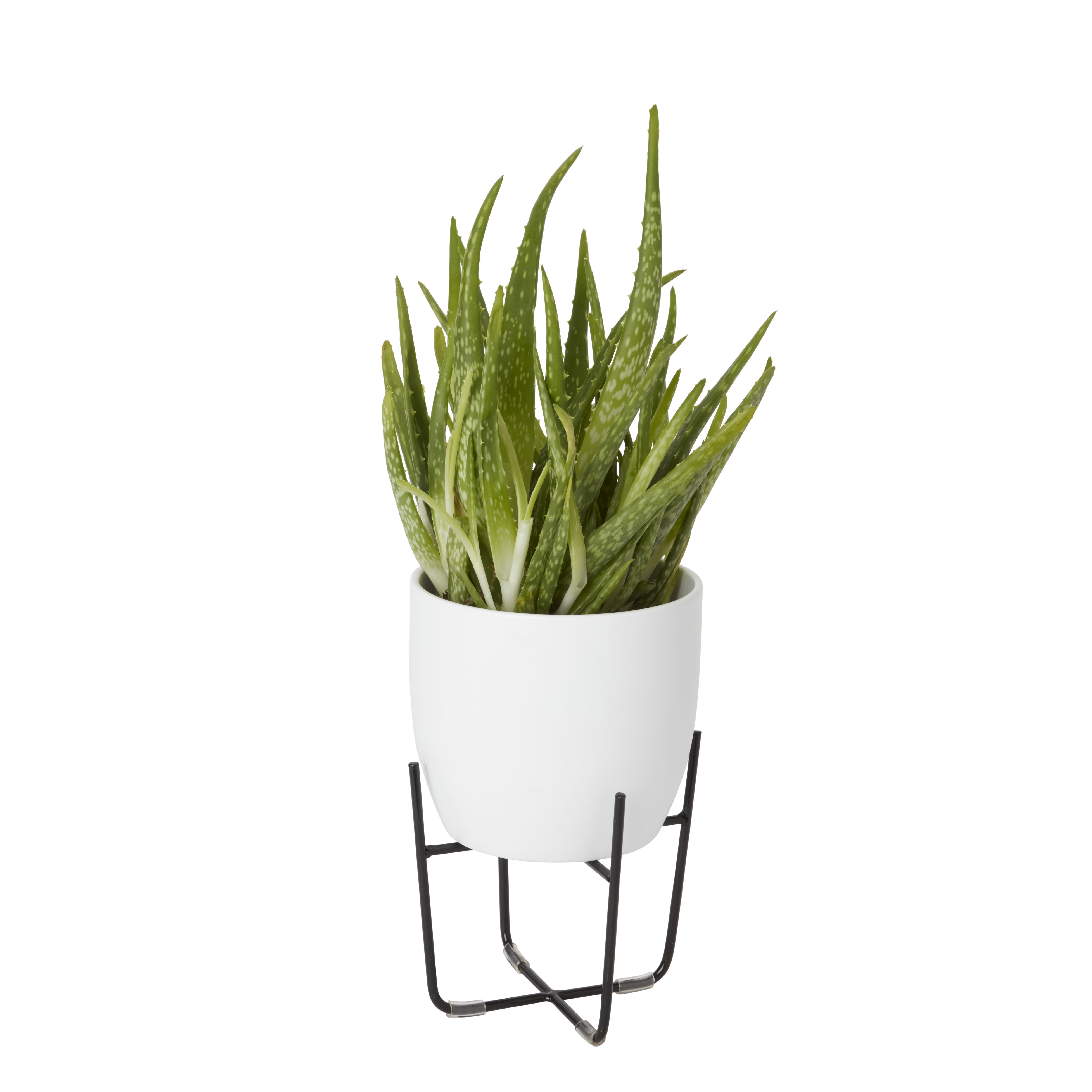 White Ceramic Round Plant pot (Dia)14.4cm
