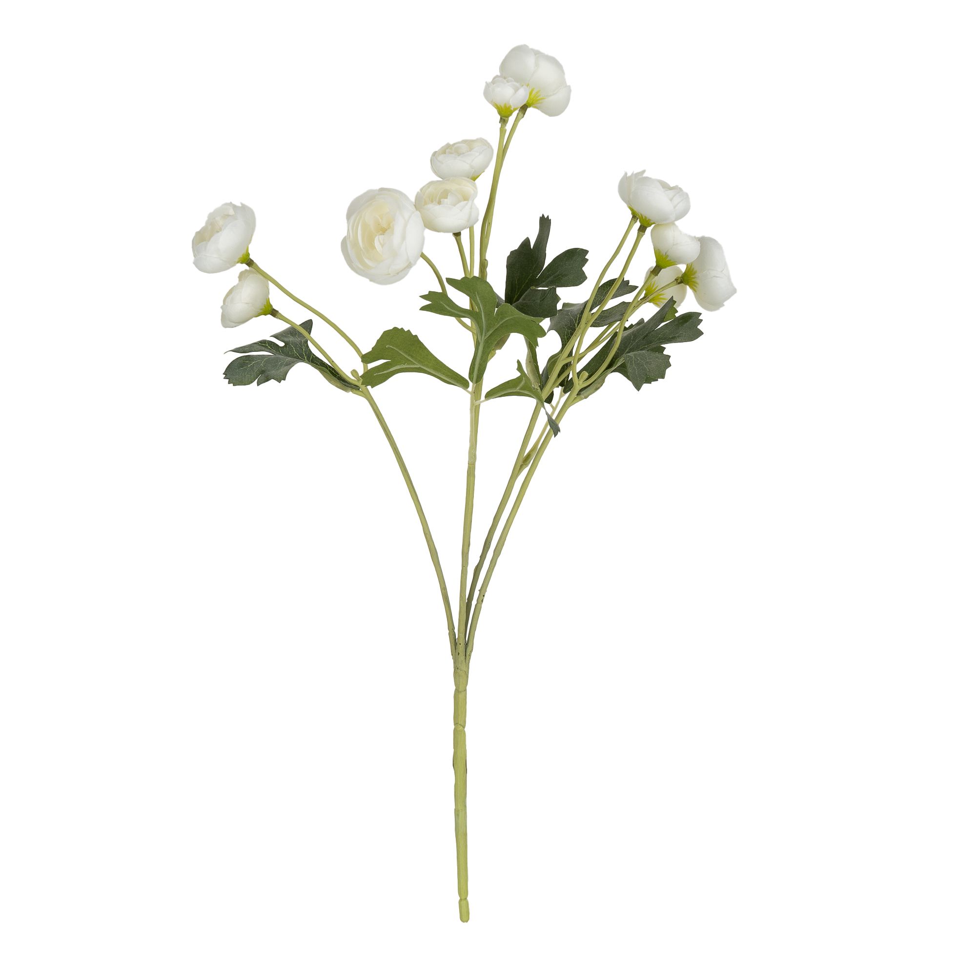 White & Green Camellia 5 Mini buds Single stem Artificial flower (H) 490mm