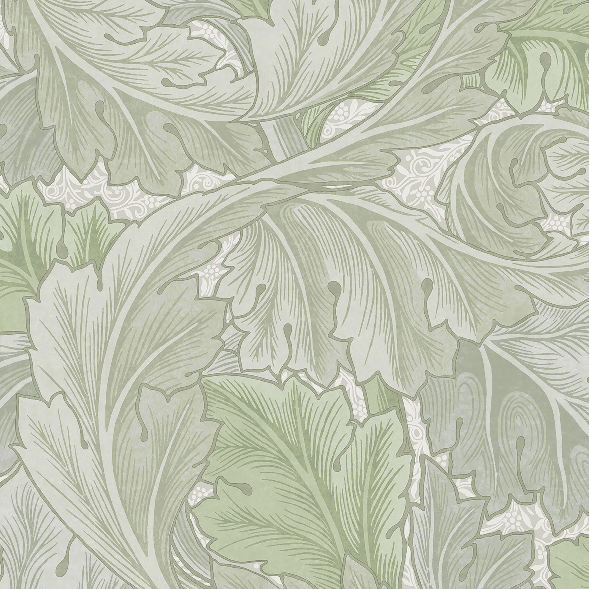 William Morris Misted Sage Acanthus Smooth Wallpaper