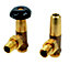 Winchester Thermostatic Radiator valve & lockshield