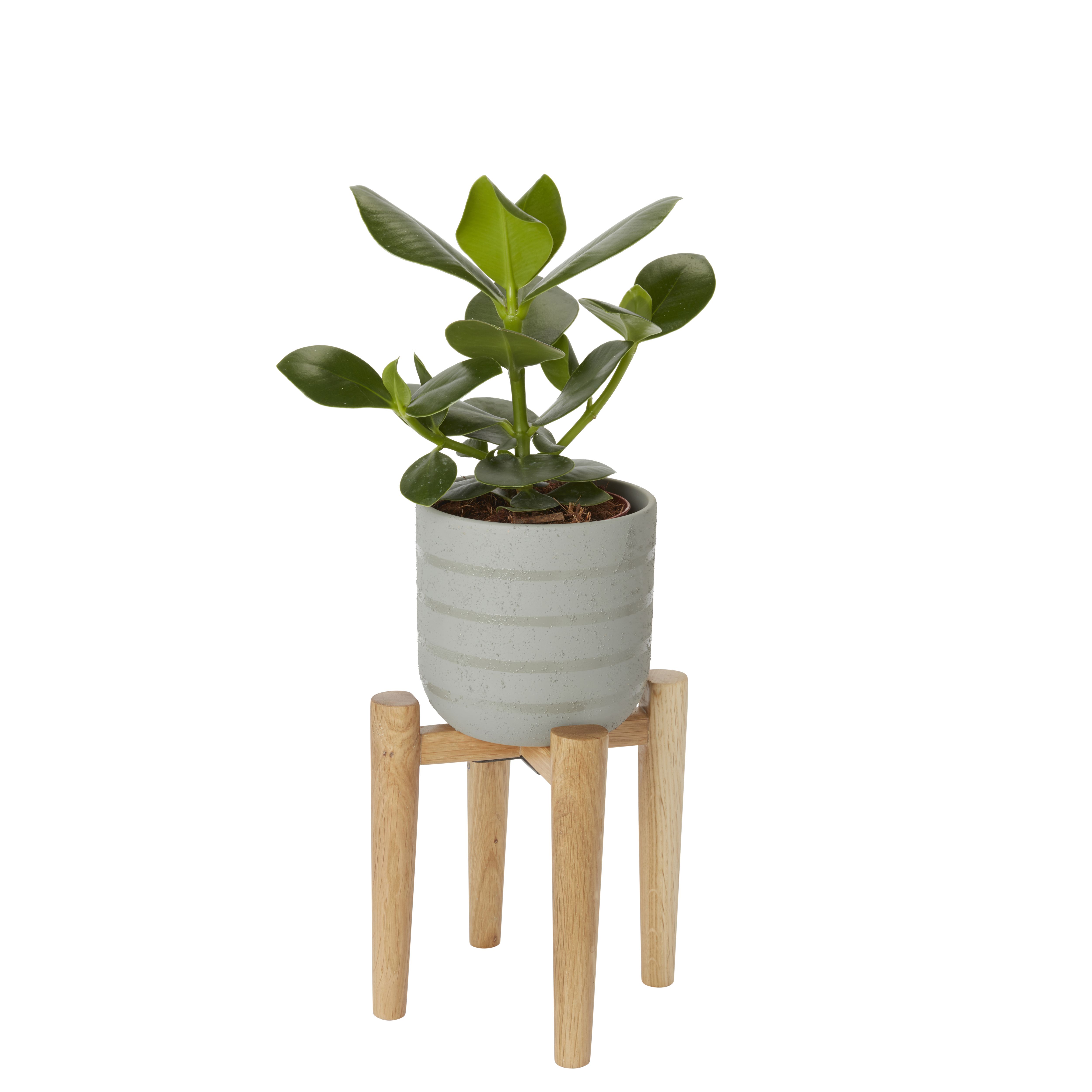 Wood Pot stand