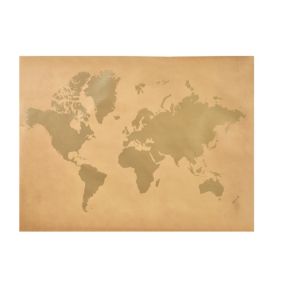 World map Neutral Canvas art (H)600mm (W)800mm