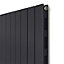 Ximax Vertirad Slimline Duplex Deluxe Matt anthracite Vertical Designer panel Radiator, (W)595mm x (H)1800mm
