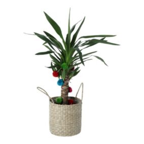 Yucca Seagrass Decorative pot 17cm