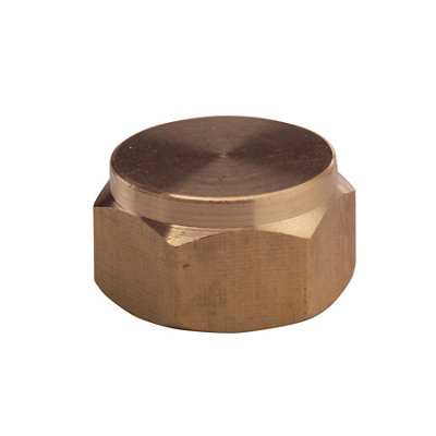 Plumbsure Brass Threaded Blanking Cap (Dia)9.5Mm
