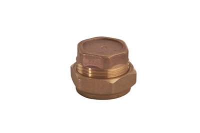 Plumbsure Brass Compression Stop End (Dia)22Mm