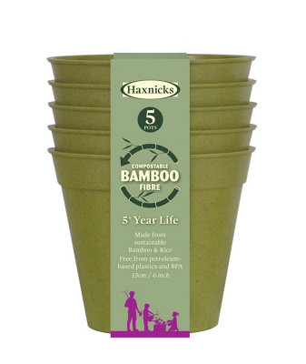 Haxnicks Sage Green Bamboo Plant Pot (Dia) 15Cm, (H)15Cm, Pack Of 5