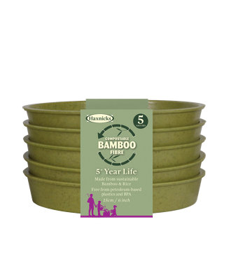 Haxnicks Sage Green Saucer (Dia)15Cm, Pack Of 5