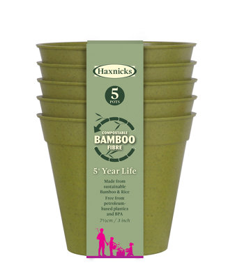 Haxnicks Sage Green Bamboo Plant Pot (Dia) 7.5Cm, (H)6.4Cm, Pack Of 5