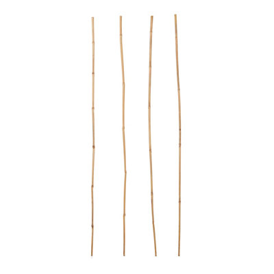 Verve Bamboo Cane, Pack Of 15 90Cm