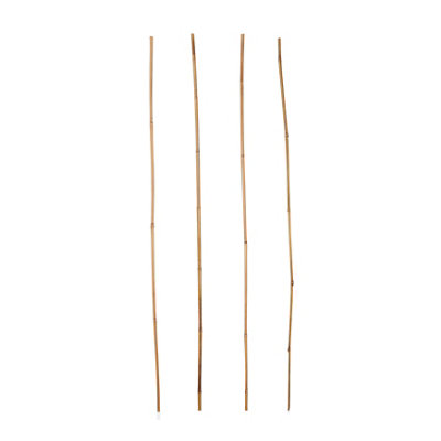 Verve Bamboo Cane 120Cm, Pack Of 20