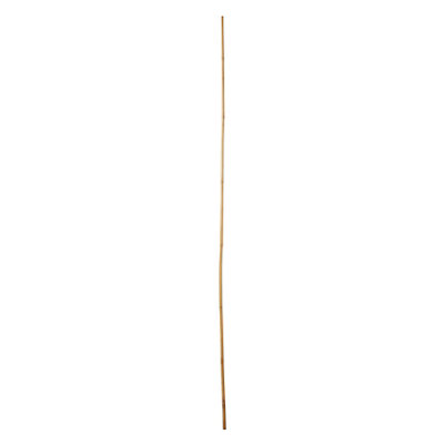 Verve Bamboo Cane 180Cm, Pack Of 10