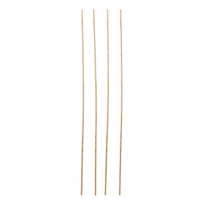 Verve Bamboo Cane 240Cm, Pack Of 10