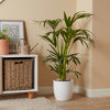 Found it product image.
